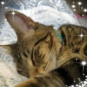 Meet your Posher, Lynda